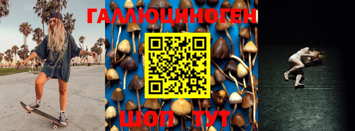 Псилоцибиновые грибы ЛСД  Псилоцибиновые грибы мухоморы  Вход с VPN  Иваново 